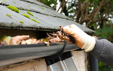 gutter cleaning Low Fulney, Lincolnshire
