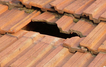 roof repair Low Fulney, Lincolnshire