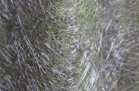 Low Fulney fibreglass roof work