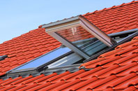 Low Fulney roof window